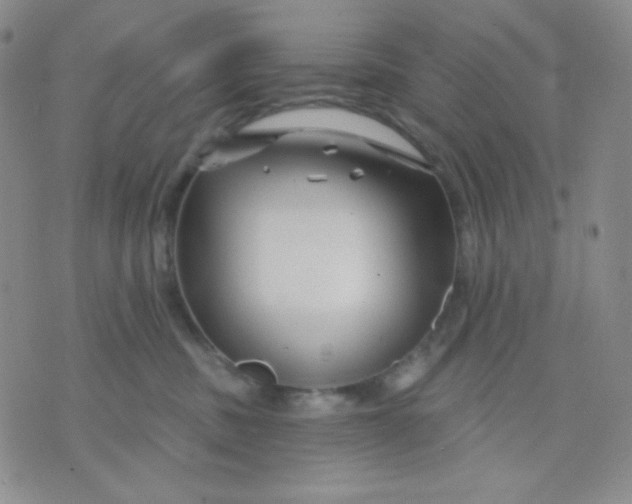 X0000071850379200607211858