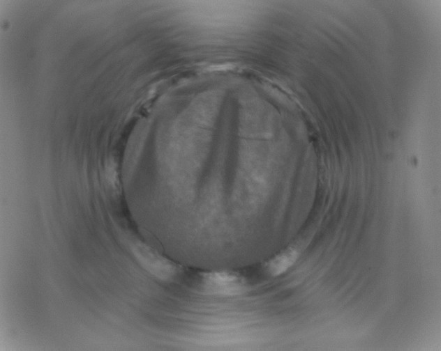 X0000071850380200607211858