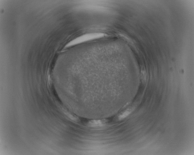 X0000071850381200607211858