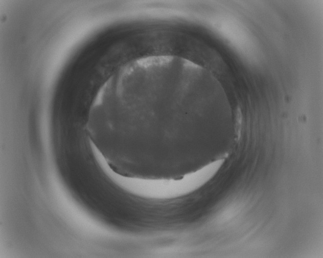 X0000071850383200607211858