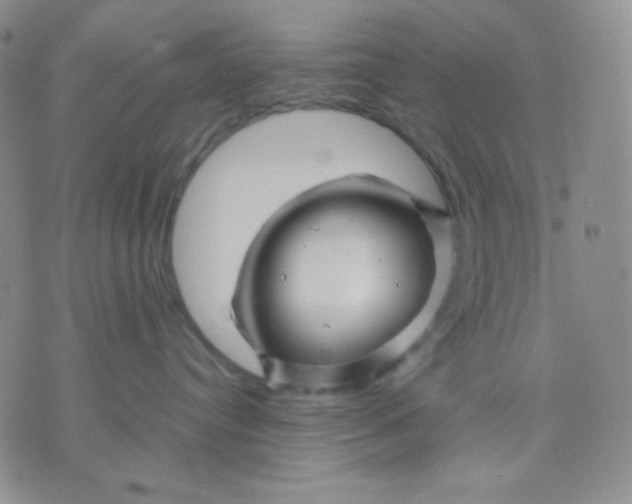 X0000071850384200607211858