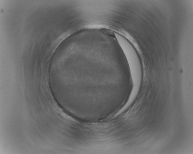 X0000071850385200607211857