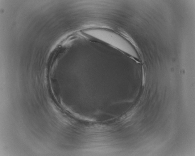 X0000071850387200607211857