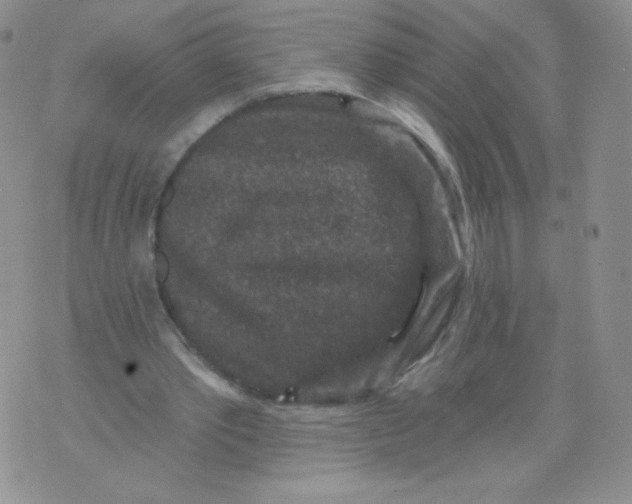 X0000071850389200607211857