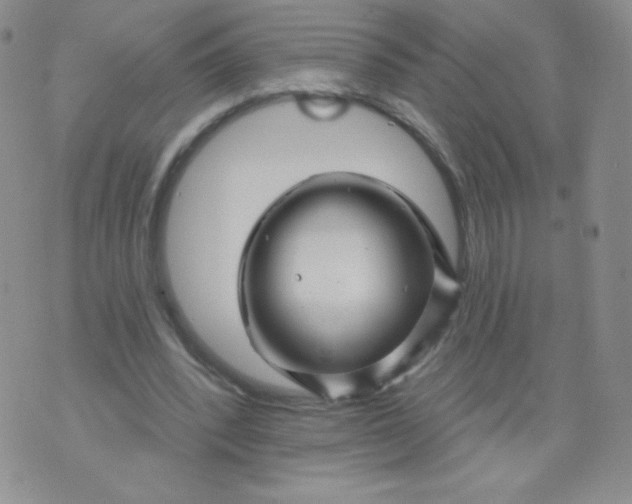 X0000071850392200607211857