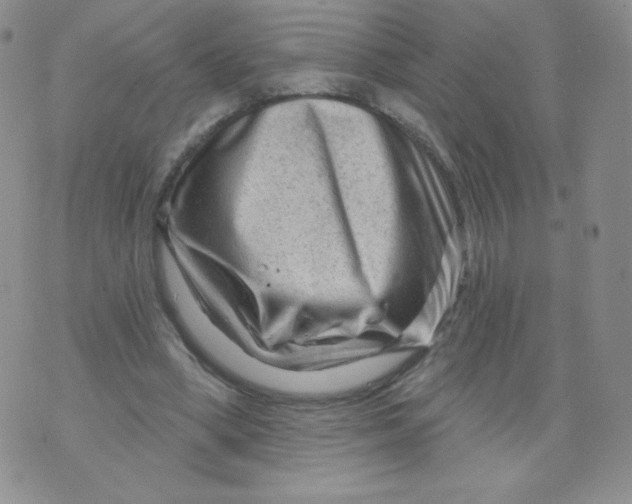 X0000071850394200607211857