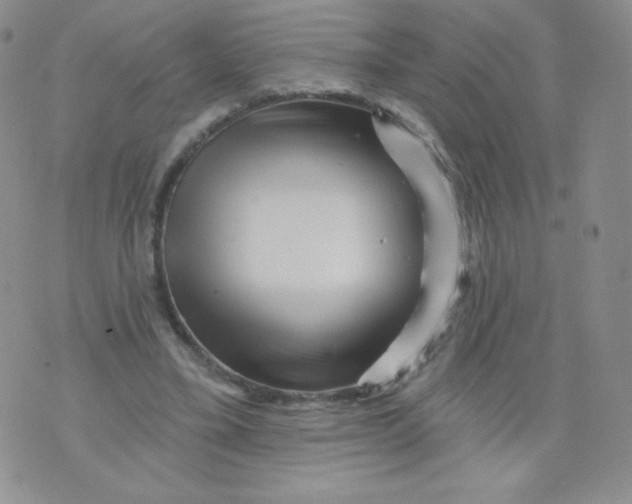 X0000071850395200607211857