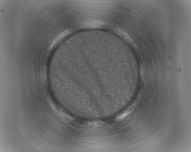 X0000071850396200607211857