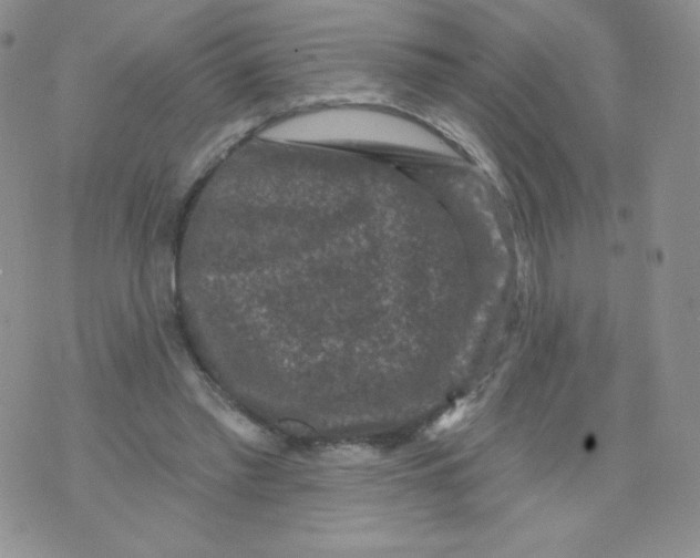 X0000071850397200607211857