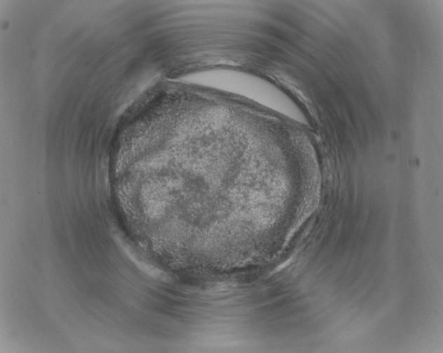 X0000071850398200607211857