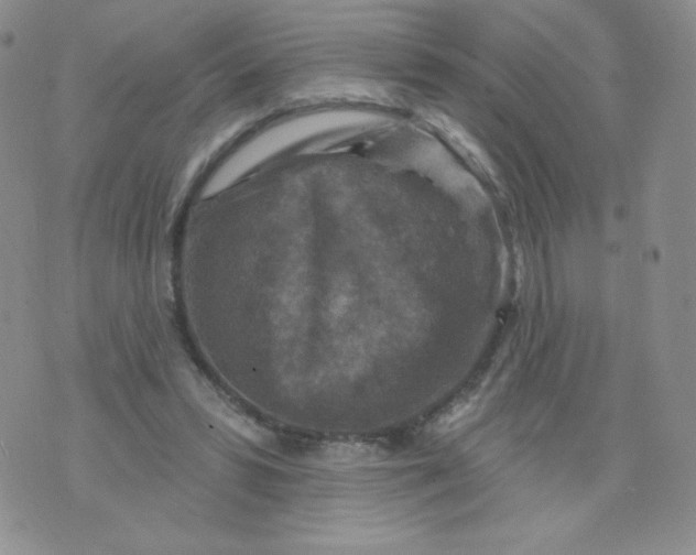 X0000071850399200607211857