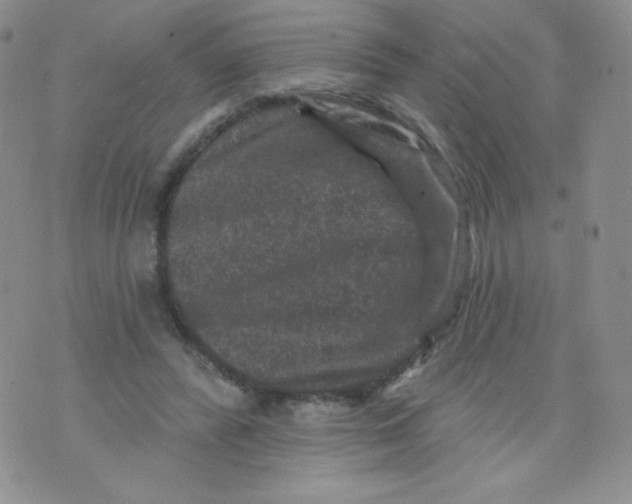 X0000071850400200607211857