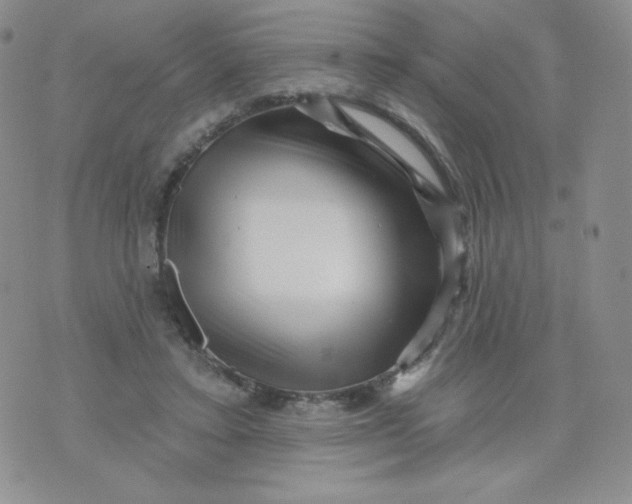 X0000071850403200607211857