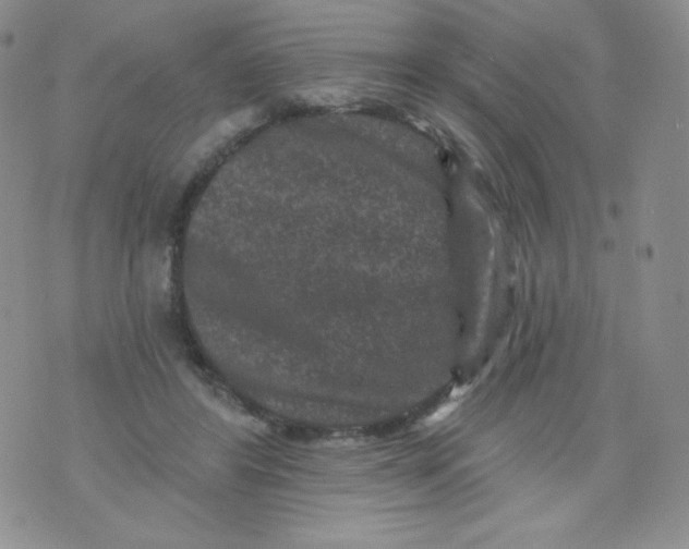 X0000071850404200607211857