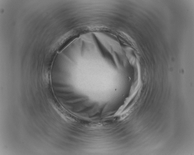 X0000071850405200607211857