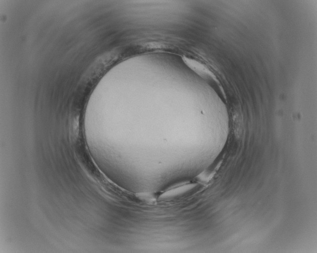 X0000071850406200607211857