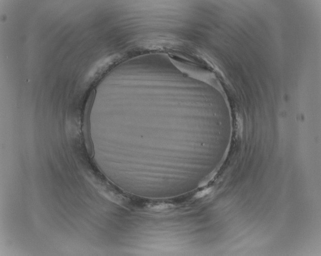 X0000071850407200607211857