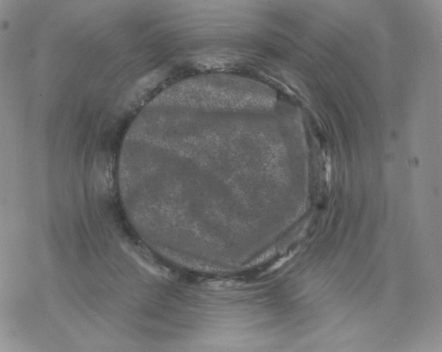 X0000071850408200607211857