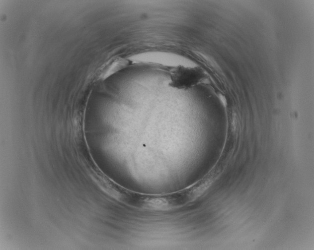 X0000071850409200607211857