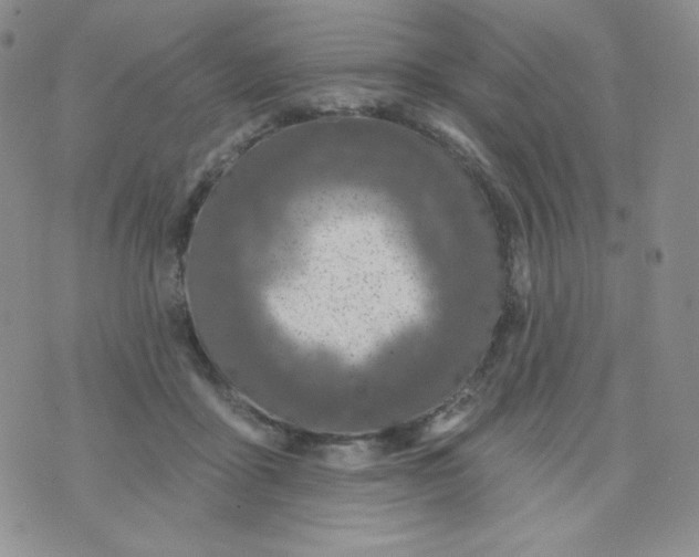 X0000071850411200607211857