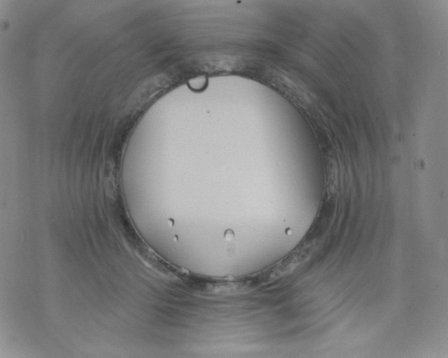 X0000071850414200607211857