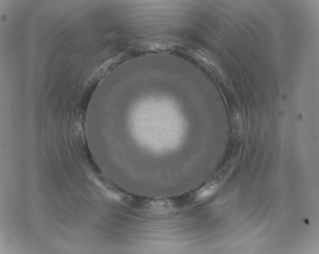 X0000071850415200607211857