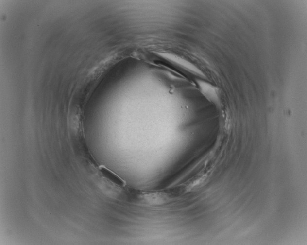 X0000071850417200607211857