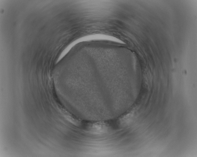 X0000071850420200607211857