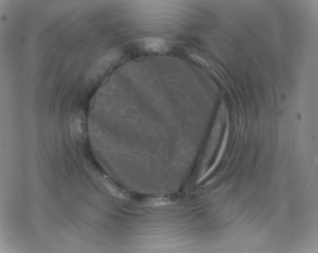 X0000071850424200607211857