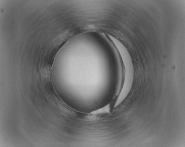 X0000071850425200607211857