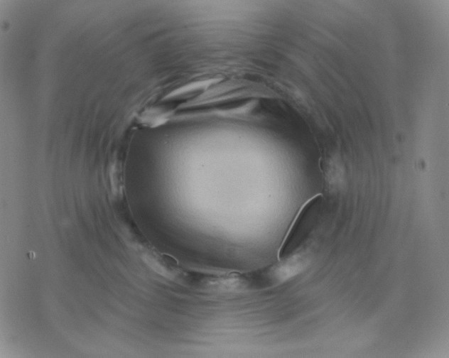 X0000071850428200607211857