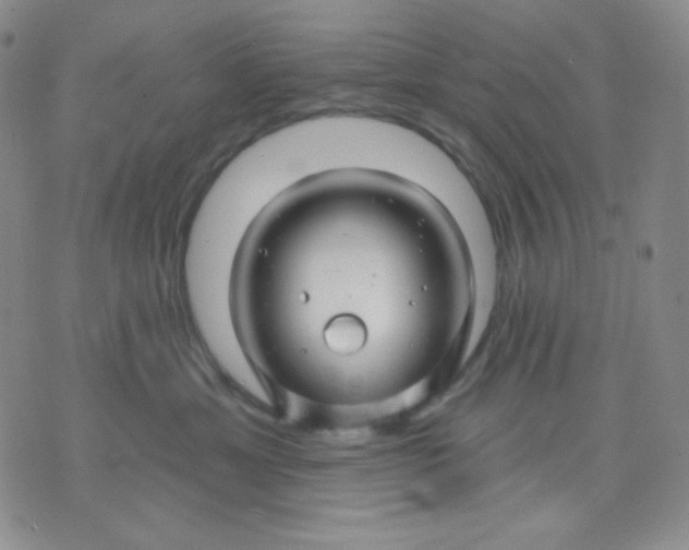 X0000071850429200607211857