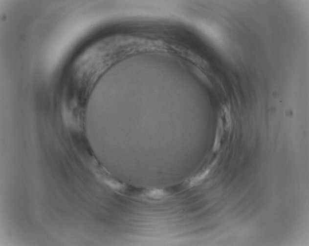 X0000071850431200607211857