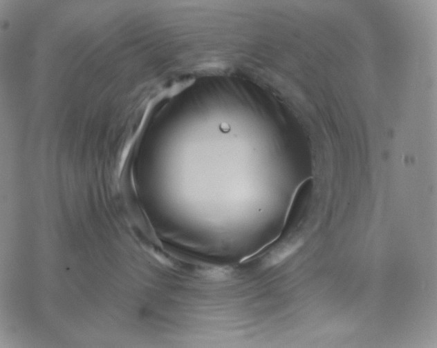 X0000071850432200607211857