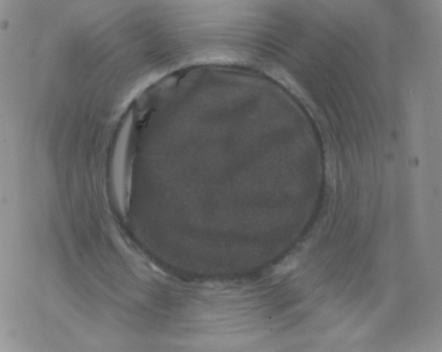 X0000071850434200607211856