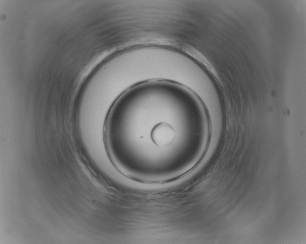 X0000071850436200607211856