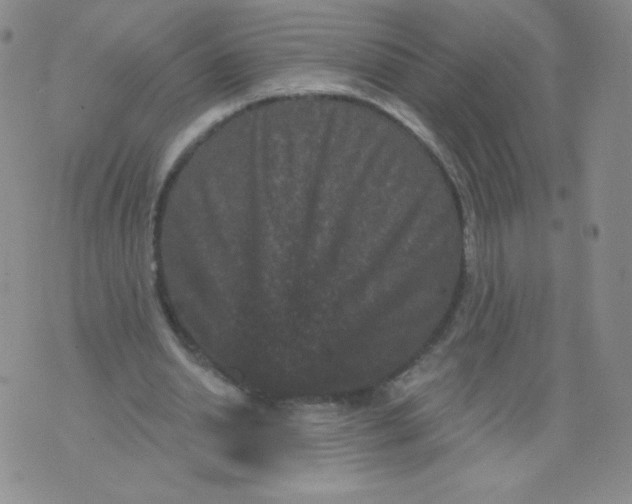 X0000071850438200607211856