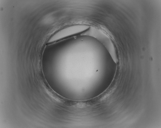 X0000071850441200607211856