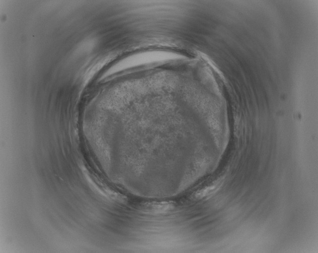 X0000071850443200607211856