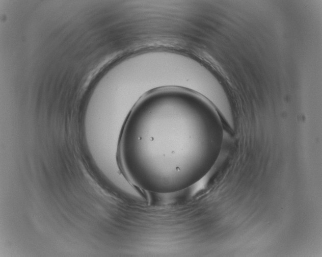 X0000071850444200607211856