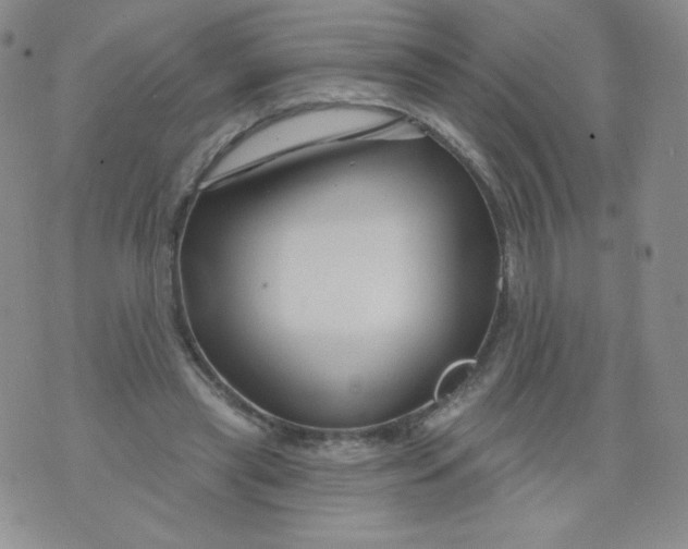 X0000071850445200607211856