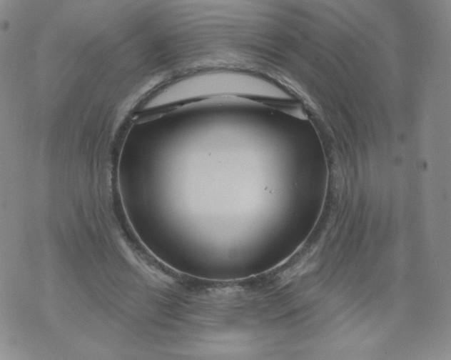 X0000071850446200607211856