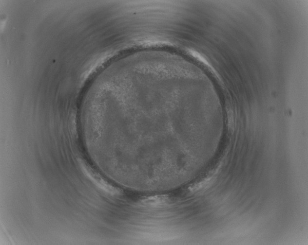 X0000071850447200607211856