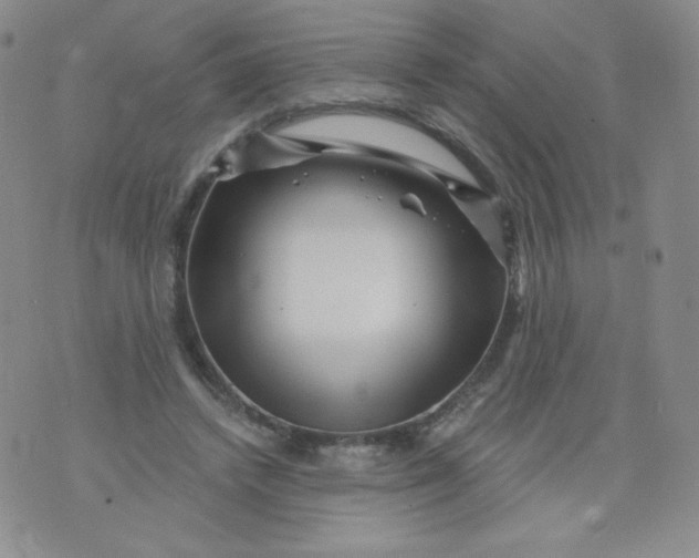 X0000071850448200607211856