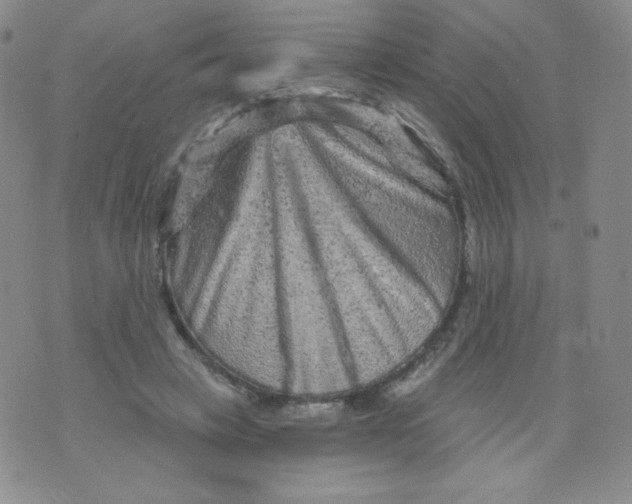 X0000071850449200607211856