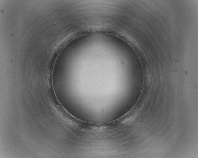 X0000071850450200607211856