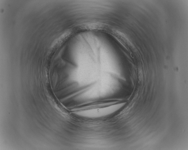 X0000071850453200607211856