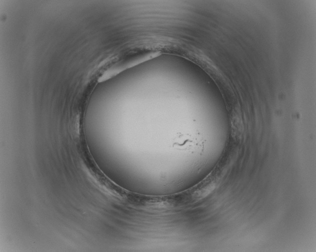 X0000071850454200607211856