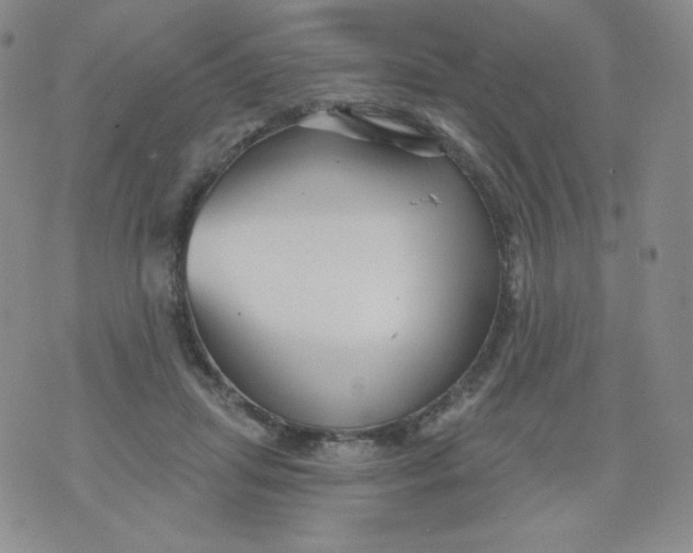 X0000071850455200607211856