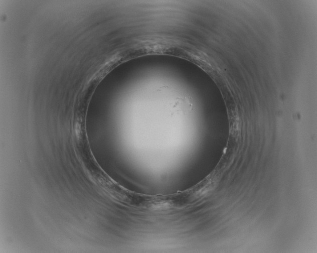 X0000071850456200607211856